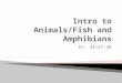 Intro to Animals/Fish and Amphibians