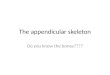 The appendicular skeleton