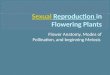 Sexual  Reproduction  in Flowering Plants