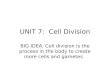 UNIT 7:  Cell Division