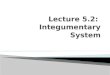 Lecture 5.2:   Integumentary  System