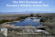 The 2012 Revision  of  Nevada’s Wildlife Action Plan