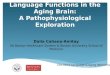 Language Functions in the Aging Brain: A Pathophysiological Exploration