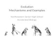 Evolution Mechanisms and Examples