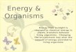 Energy & Organisms
