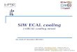 SiW  ECAL  cooling (+HCAL cooling news)