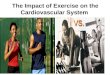 The Impact of Exercise on the Cardiovascular System