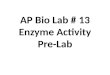 AP Bio Lab # 13 Enzyme Activity Pre-Lab