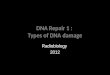DNA Repair 1 :  Types of DNA damage