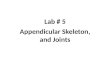 Appendicular Skeleton, and Joints
