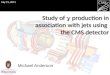 Study of  g  production in association with jets using  the CMS detector