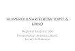 HUMEROULNAR/ELBOW JOINT & HAND