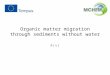 Organic  matter migration through sediments without water