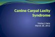Canine Carpal Laxity Syndrome