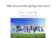 What the personality typology letters mean?