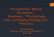 Peripheral Nerve Diseases;  Anatomy, Physiology and Pathophysiological Process