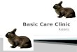 Basic Care Clinic