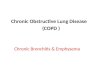 Chronic Obstructive Lung Disease                                          (COPD )