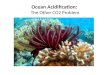 Ocean Acidification:  The Other CO2 Problem