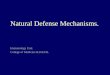 Natural Defense Mechanisms