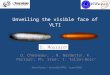 Unveiling the visible face of VLTI