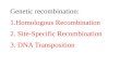 Genetic recombination: 1.Homologous  R ecombination 2.  Site-Specific  R ecombination