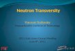Neutron Transversity
