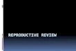 Reproductive  REview