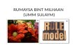 RUMAYSA BINT MILHAAN  (UMM SULAYM)