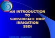 AN INTRODUCTION TO SUBSURFACE DRIP  IRRIGATION SSDI