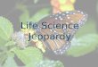 Life Science Jeopardy