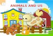 ANIMALS AND US