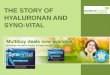 THE STORY OF HYALURONAN AND SYNO-VITAL