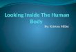 Looking Inside  T he  H uman  Body