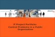 IT Project  Portfolio:  Control Problems  in a Public Organization