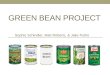 Green Bean Project