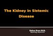 The Kidney  in  Sistemic Disease