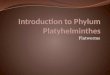 Introduction to Phylum  Platyhelminthes