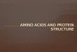Amino Acids and Protein Structure