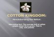 Cotton Kingdom: