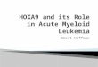 HOXA9 and its Role in Acute Myeloid Leukemia