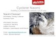 Cyclone Naomi: Building a professional network YOUR way
