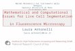 Mathematical and Computational  Issues for Live Cell Segmentation  in Fluorescence Microscopy