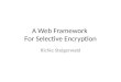 A Web Framework  For Selective Encryption