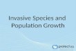 Invasive Species and  Population Growth