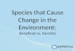 Species that Cause Change in the Environment: Beneficial vs. Harmful