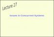 Issues in Concurrent Systems
