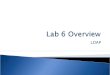 Lab  6  Overview