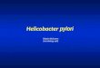 Helicobacter  pylori