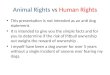 Animal Rights  vs  Human Rights